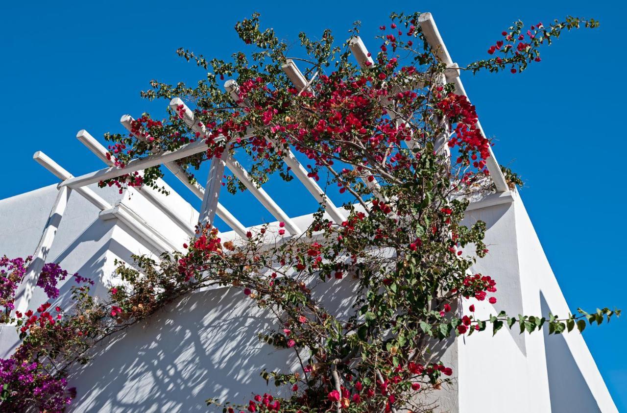 Casa Cozy Villa Mykonos Town Exterior photo