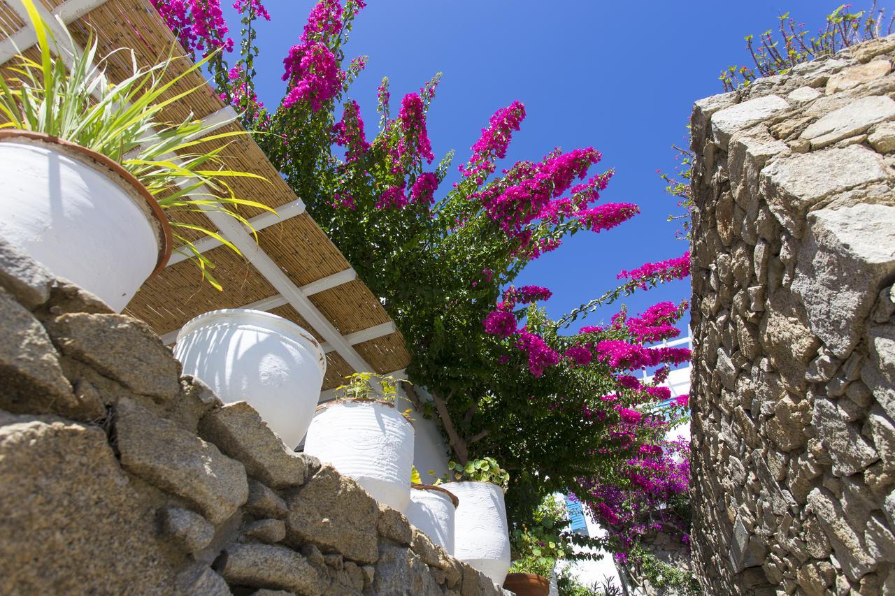 Casa Cozy Villa Mykonos Town Exterior photo